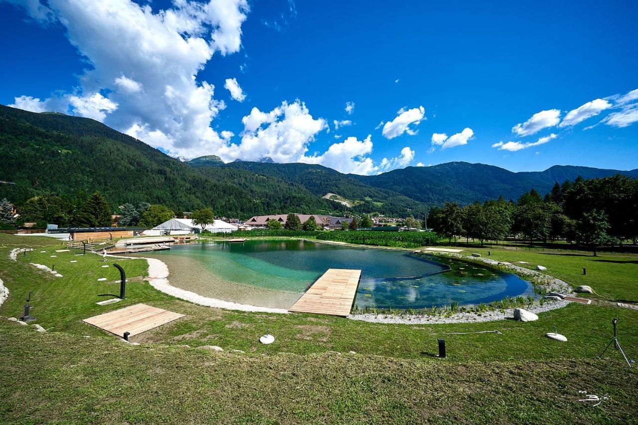 Chalet Mountain Plaza - Apt Greenvalley Pinzolo Eksteriør bilde